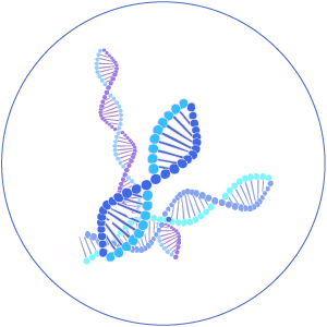 新冠病毒核酸檢測(cè)