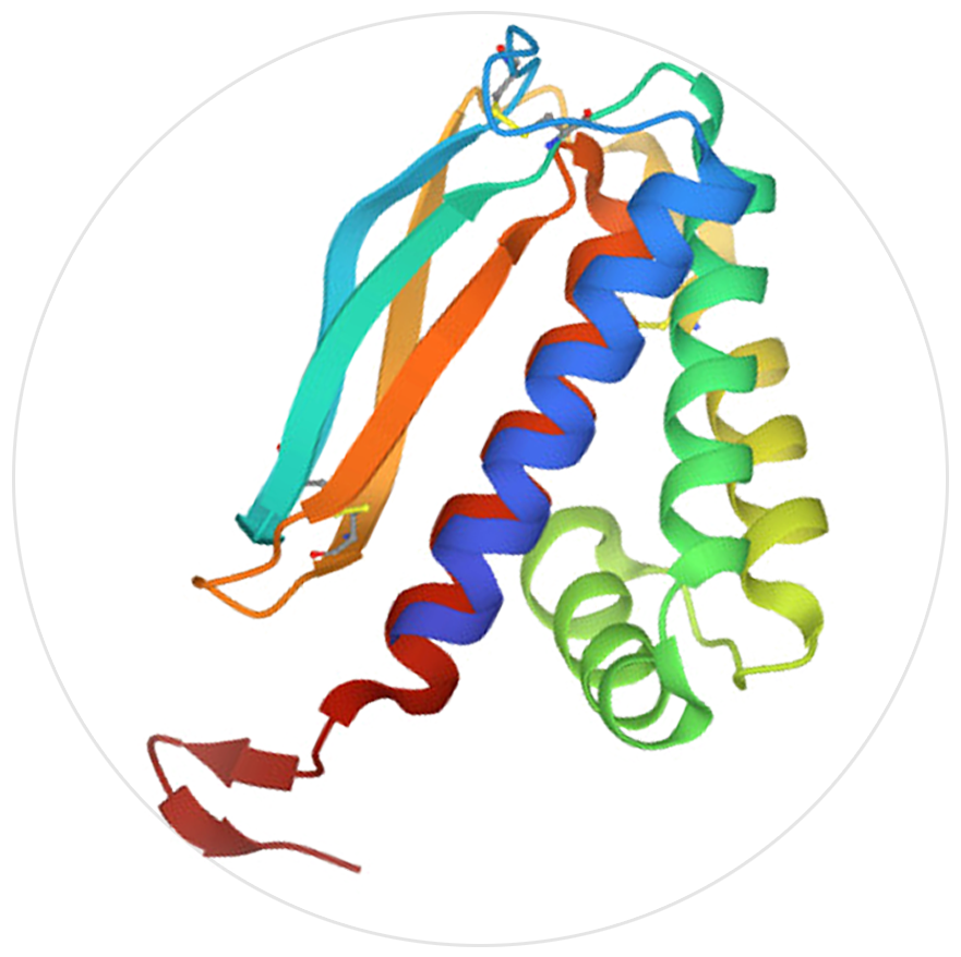 猴痘抗原A29L、A35R、B6R、M1R介紹